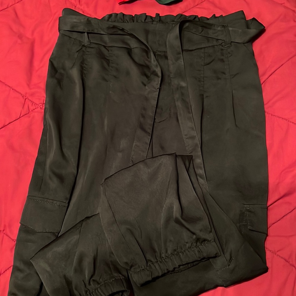 Express dress pants
